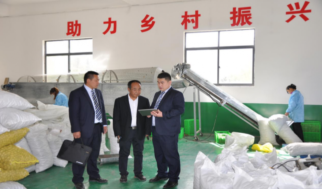 ?郵儲銀行商洛市分行：金融活水澆灌特色產業 譜寫鄉村振興新篇章